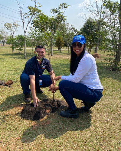 Plantio de Árvores Nativas