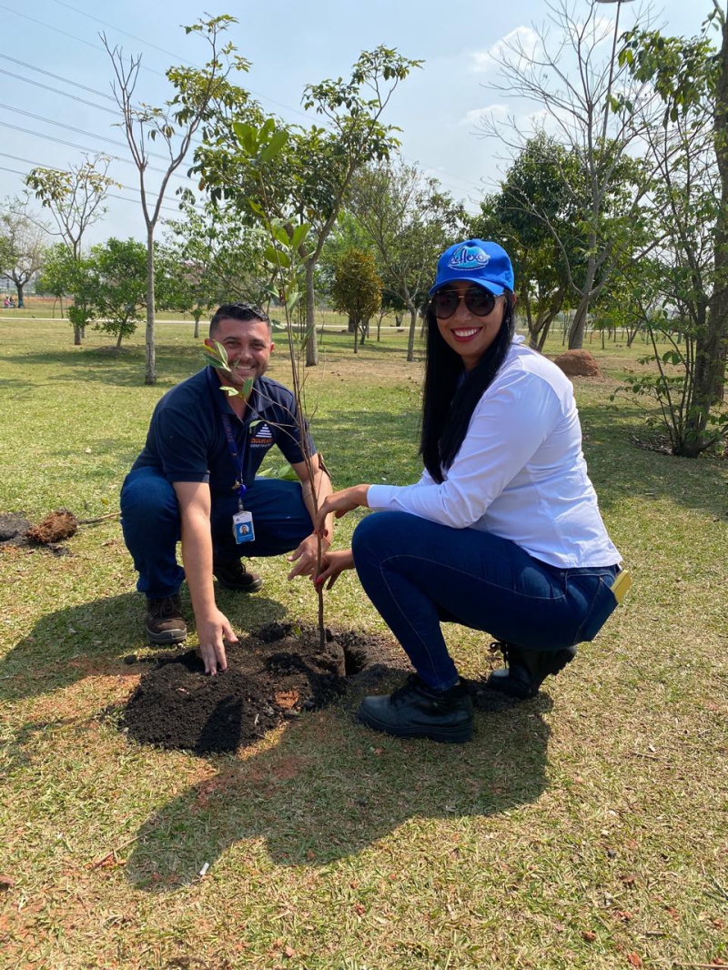 Plantio de Árvores Nativas